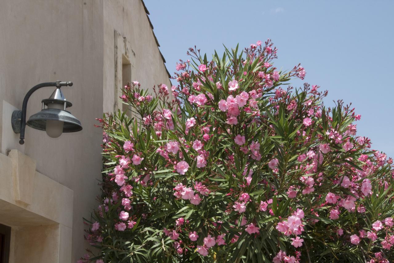 Case Vacanza Sant'Agostino Siracusa Syracuse ภายนอก รูปภาพ
